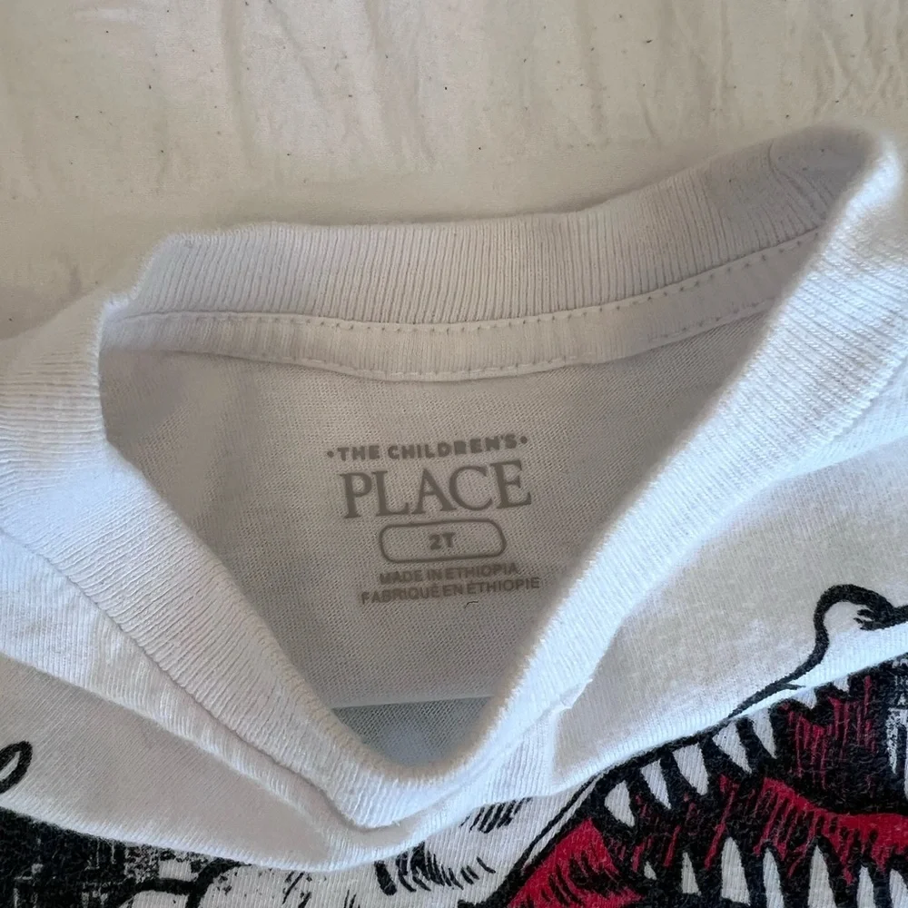 The Children's Place Dinosaur Tee Shirt Size 2T